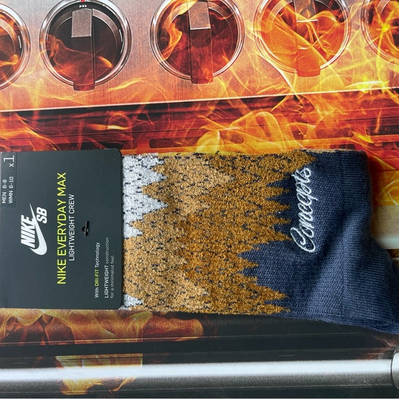 Nike concepts x SB Pro dunk hi (turdunkin) Special 📦 - Picture 8 of 16